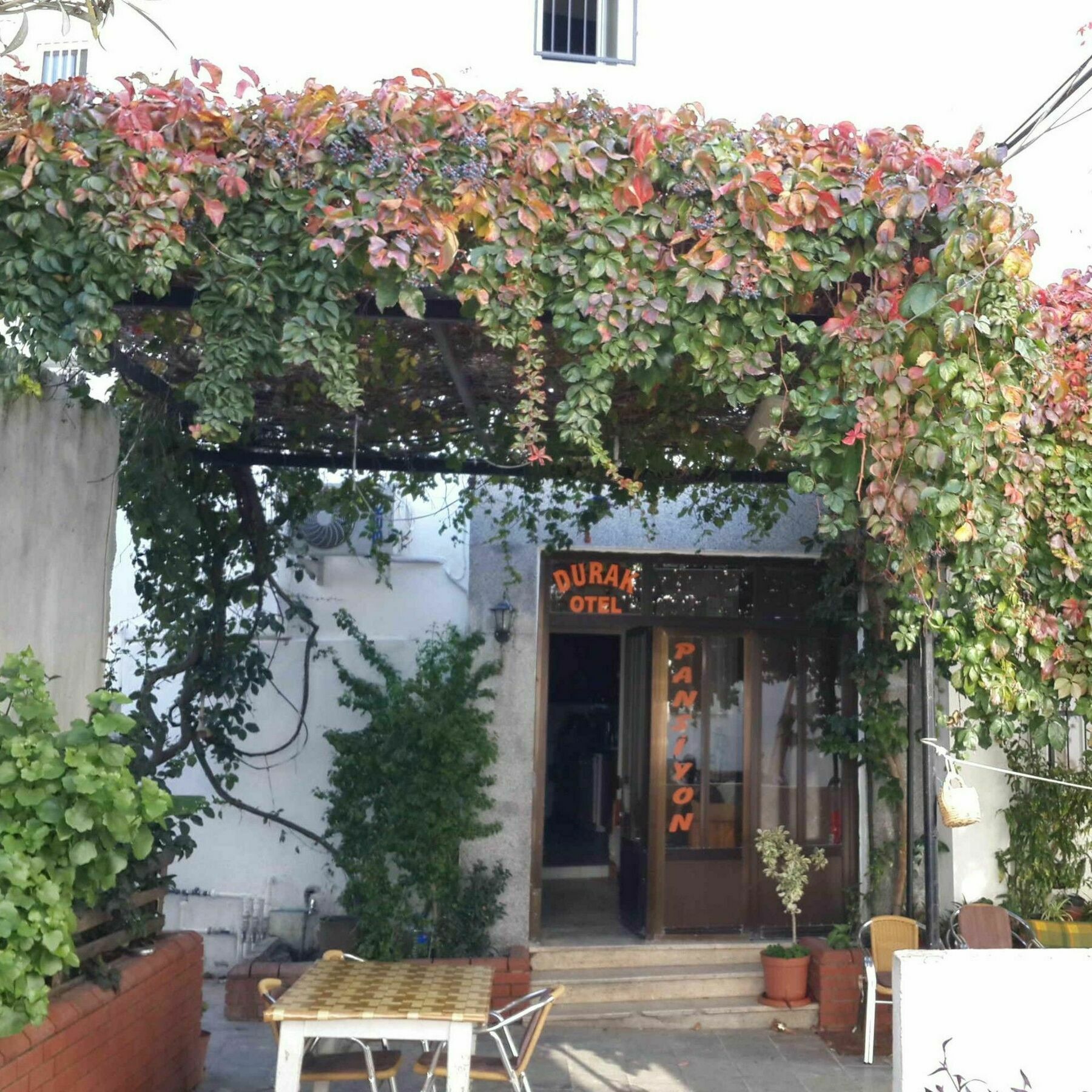 Durak Hotel Bodrum Exteriör bild